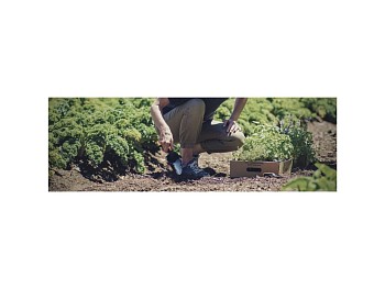 Совок садовый Premium FISKARS